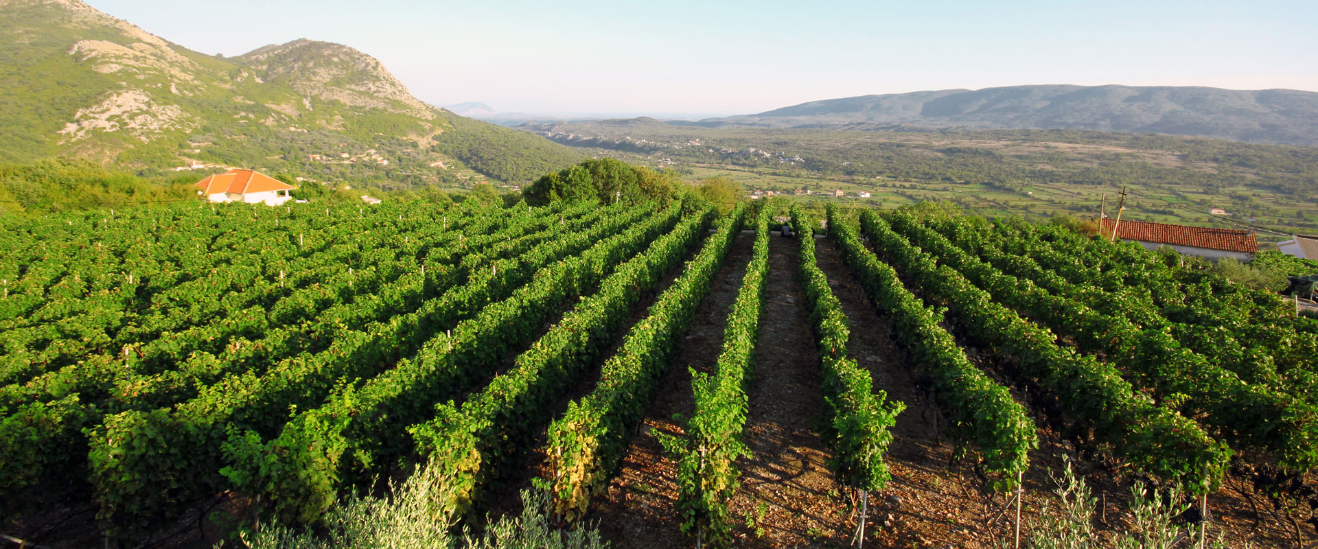 Vinarija Spahija